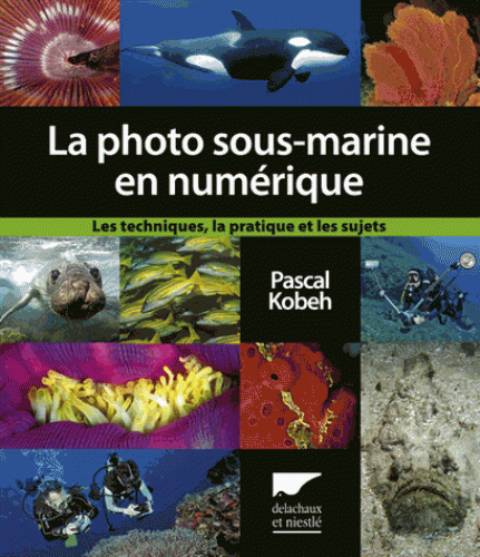 La photo sous-marine en numérique - Les techniques, la pratique, et les sujets