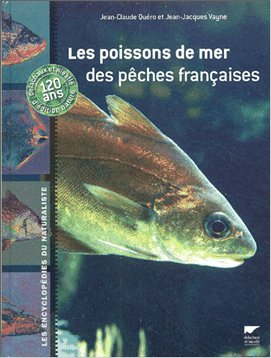 Les poissons de mer des pêches françaises 