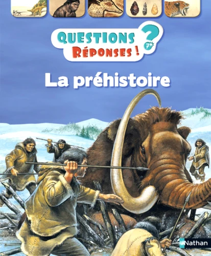 La préhistoire - Questions - réponses  7+