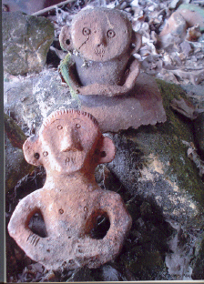 Scialet n° 35 - 2006