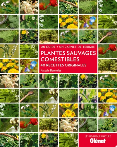 Plantes sauvages comestibles - 40 recettes originales ( un guide, un carnet d terrain )