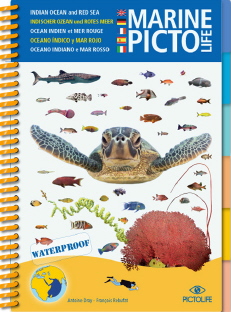 Picto Life Mer Rouge, Ocean Indien- Guide d'identification multilingue des espèces sous-marines 