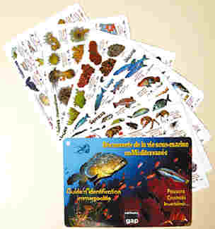 Découverte de la vie sous-marine en Méditerranée. Guide d'identification  PLAQUETTES IMMERGEABLES
