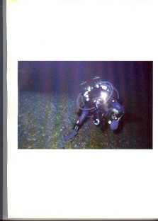 Sur les palmes d'Henri Lombard - tome 2