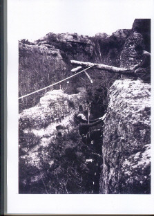 Sur les palmes d'Henri Lombard - tome 1