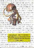 Naissance de la Fédération et de l'E F S - 1960 - 1974