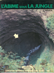 L'abîme sous la jungle