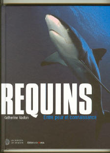 Requins: entre peur et connaissance