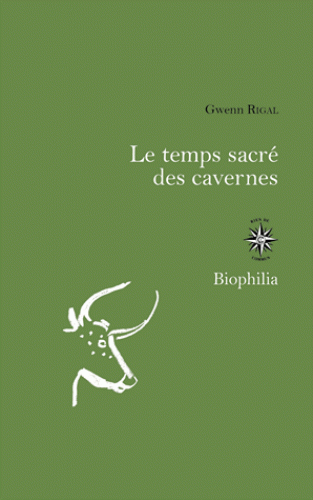 Le temps sacré des cavernes - De Chauvet à Lascaux, les hypothèses de la science
