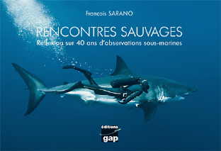 Rencontres sauvages - réflexions sur 40 ans d'observations sous marines