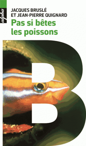 Pas si bêtes les poissons - Scènes de leur vie intime