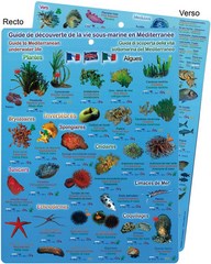 Découverte de la vie sous-marine en Méditerranée. Plaquette immergeable