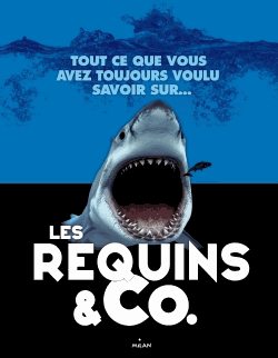 Les requins & co - Tout ce que vous auriez voulu savoir...