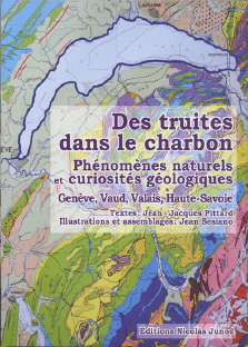 Des truites dans le charbon : phénomènes naturels et curiosités géologiques 