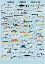 Poster: Game fish