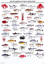 Poster: Amérique du Sud - Poissons et crustacés