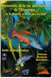 Découverte de la vie sous marine de l'Atlantique, de la Manche et de la Mer du Nord
