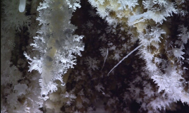 Underground treasures - (DVD)