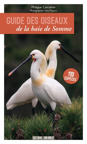 Guide des oiseaux de la baie de Somme -