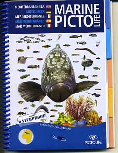 Picto Life Mer Mediterranée - Guide d'identification multilingue des espèces sous-marines 