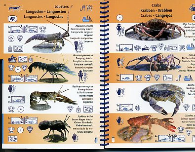 Picto Life Océan Atlantique est - Guide d'identification multilingue des espèces sous-marines 