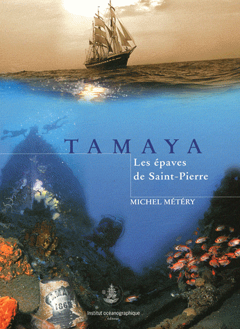 Tamaya - Les épaves de Saint-Pierre