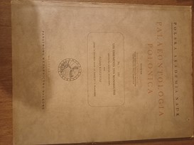 Les ossements des Mammouths