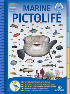 Picto Life Caraïbes - Guide d'identification multilingue des espèces sous-marines 