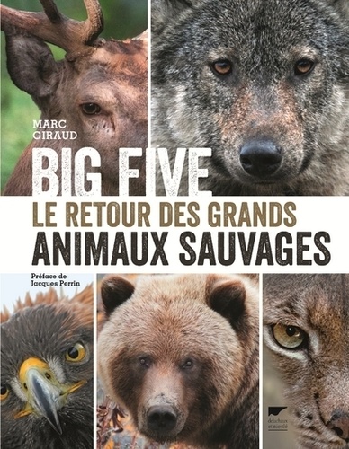 Big five - Le retour des grands animaux sauvages - Grand Format