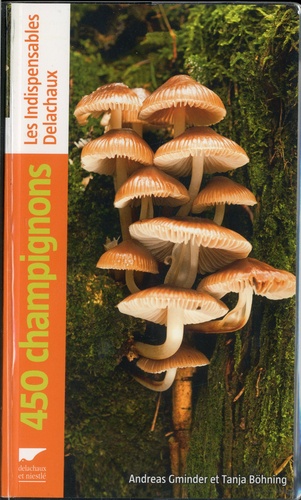 450 champignons