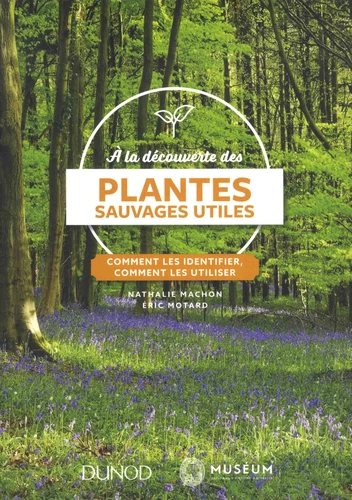 A la découverte des plantes sauvages utiles - Comment les identifier, comment les utiliser