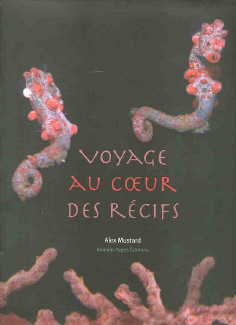 Voyage au coeur des récifs