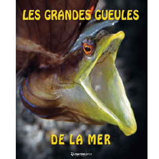 Les grandes gueules de la mer
