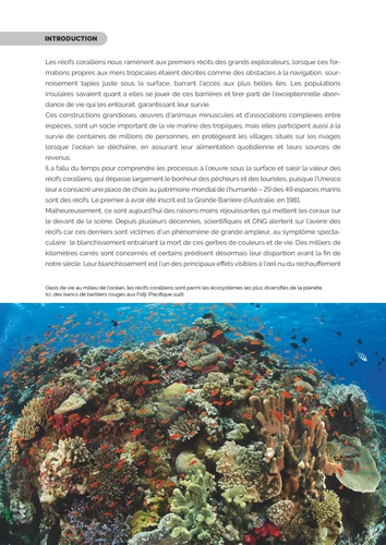 Corail - Un trésor à préserver