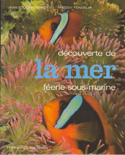 Découverte de la mer: féérie sous-marine