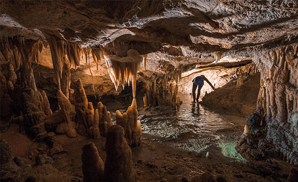 La grotte Cosquer révélée -  Les secrets du sanctuaire préhistorique englouti