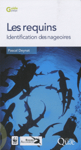 Les requins - Identification des nageoires 