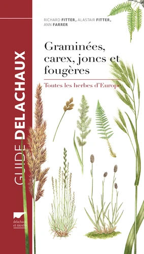 Guide des graminées, carex, joncs, et fougères - Toutes les herbes d'Europe
