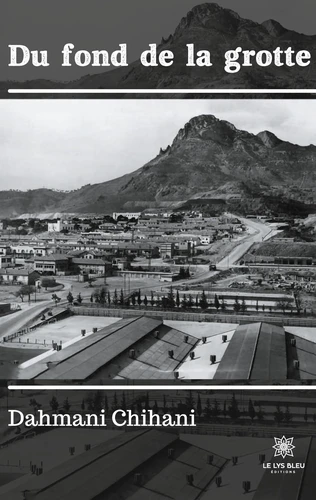 Du fond de la grotte  (roman)